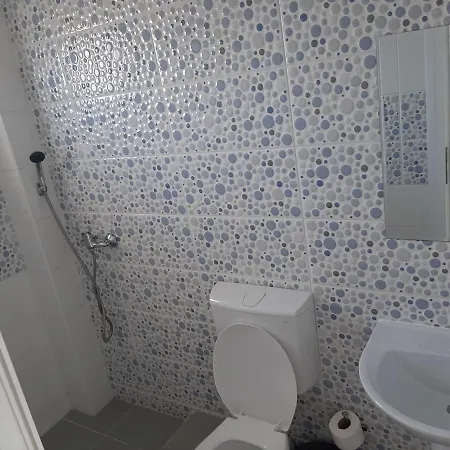 Гостевой дом Casa Misy Костинешти